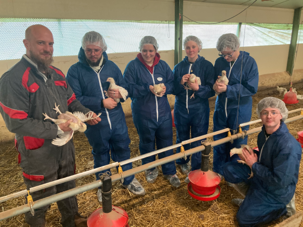 LP Poulet 26